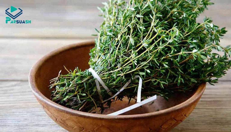 Thyme Export
